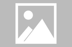 对于党支部领办蜜桃合作社的感悟蜜桃社